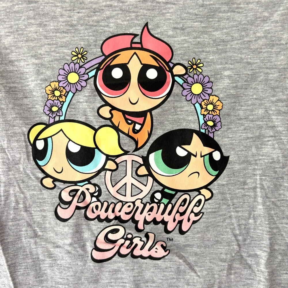 NWT Powerpuff Girls Boyfriend Graphic T-Shirt Gray SZ XXL NWT - Picture 4 of 8
